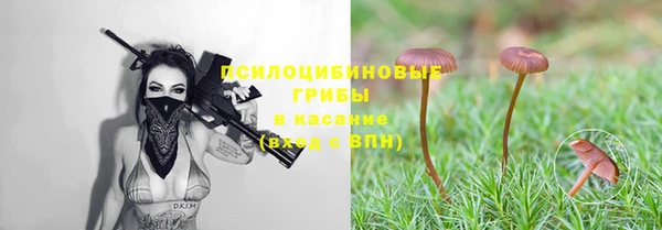PSILOCYBIN Алексин