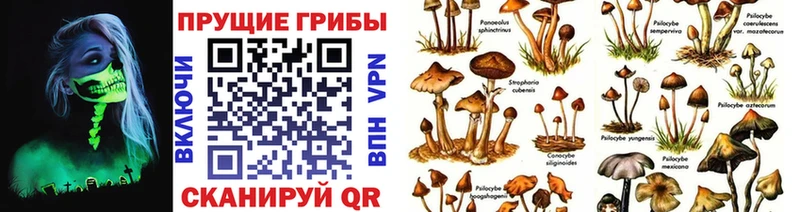 что такое   это какой сайт  Псилоцибиновые грибы мицелий  Новоаннинский 